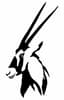 Oryx